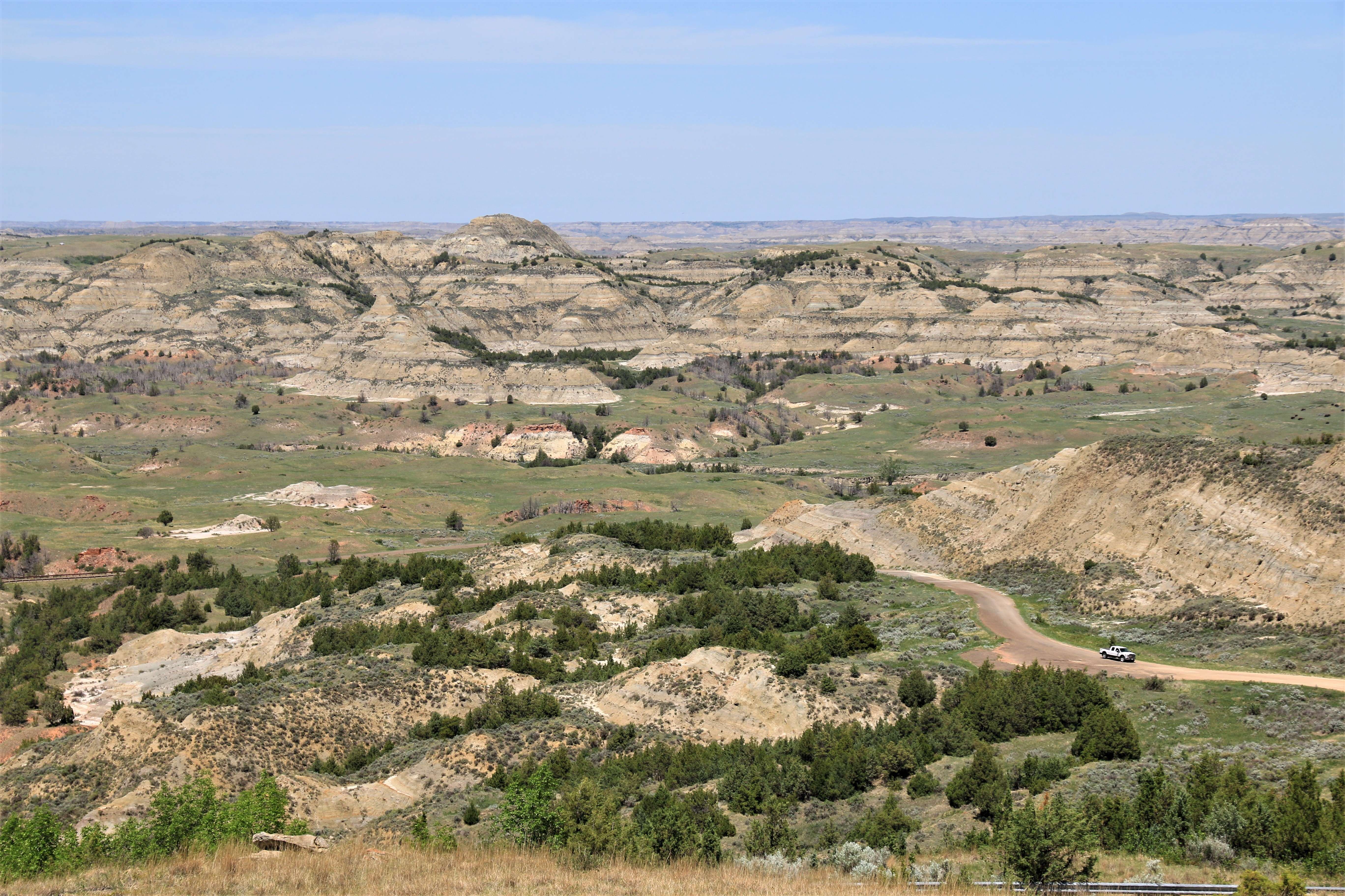 Theodore Roosevelt NP